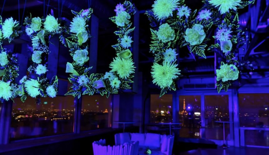 Des plantes fluorescentes pour valoriser l’événementiel