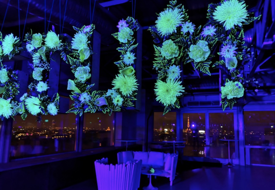 Des plantes fluorescentes pour valoriser l'événementiel